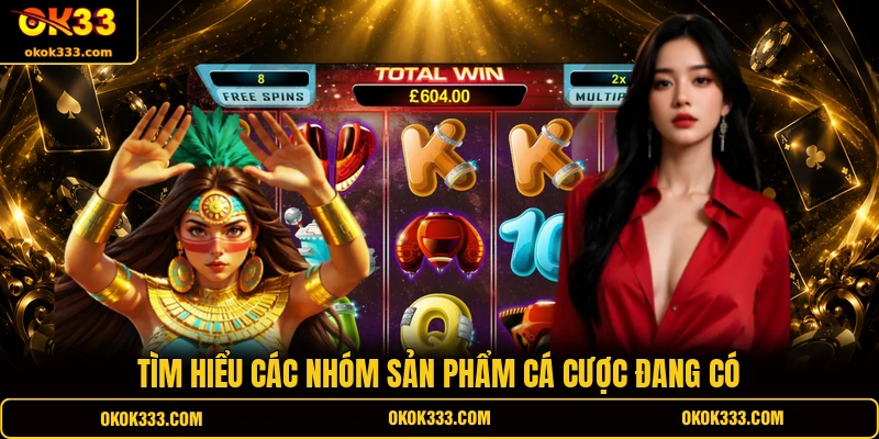 Tìm hiểu các nhóm sản phẩm cá cược đang có